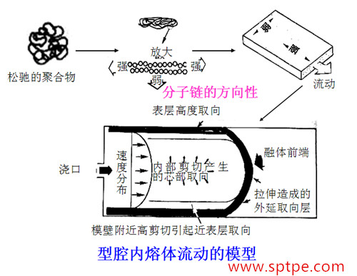 TPE的取向